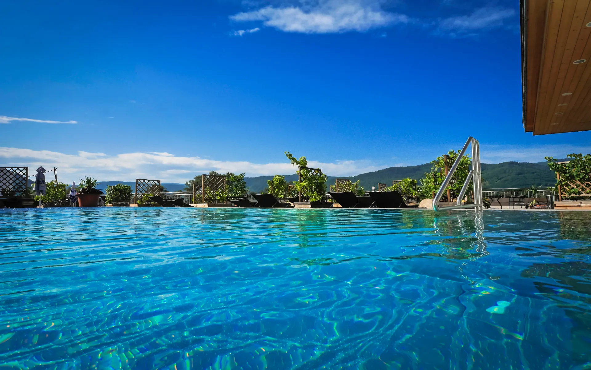 Pool in the Penthouse Spa with view over the Wachau